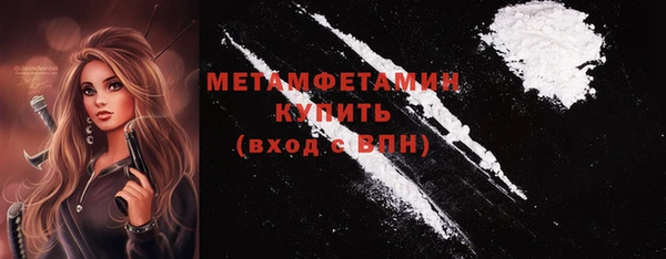 соль ск Дмитриев
