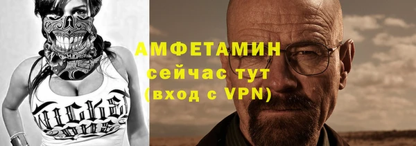 соль ск Дмитриев