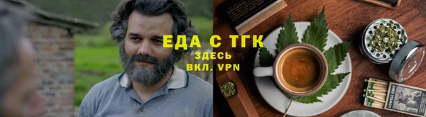 соль ск Дмитриев