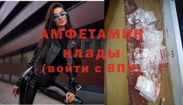 соль ск Дмитриев
