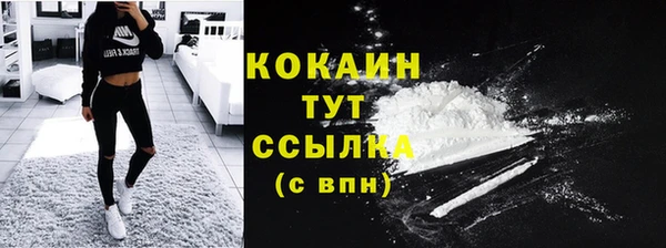 соль ск Дмитриев