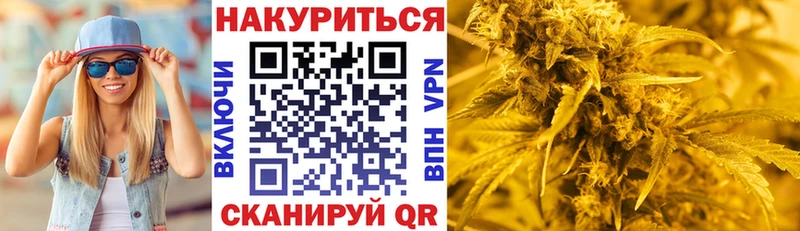 Каннабис конопля Иваново